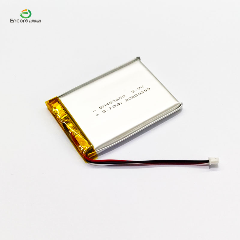 Batteria da 1000 mAh da 3,7 V.