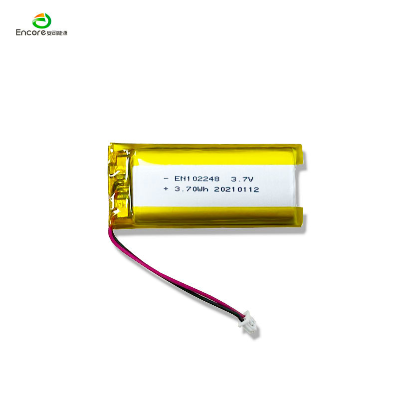 Batteria lipo da 1000 mAh