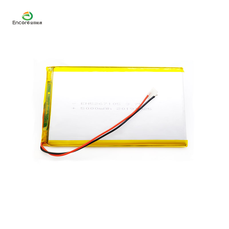 Batteria power bank ai polimeri di litio da 5000 mAh